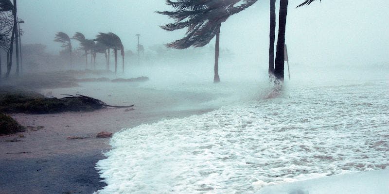 Hurricane tips