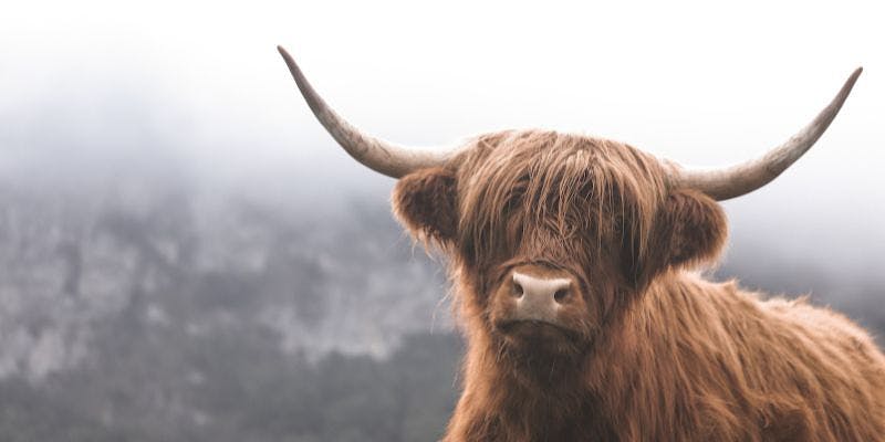 Highlands