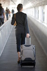 traveller